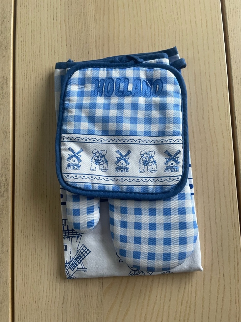 Holland Blue Gingham Oven Mitt and Pot Holder Set Holland souvenir Cottagecore